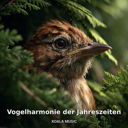 Vogelharmonie der Jahreszeiten, Pt.31