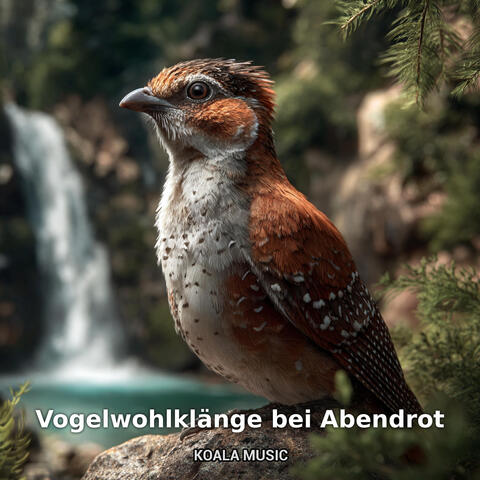 Vogelwohlklänge bei Abendrot