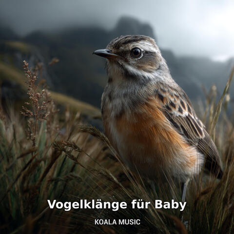 Vogelklänge für Baby