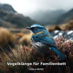 Vogelstimmen zur Schlafenszeit für die Kinder, Pt.11