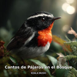 Aves Cantando entre los Árboles, Pt.23