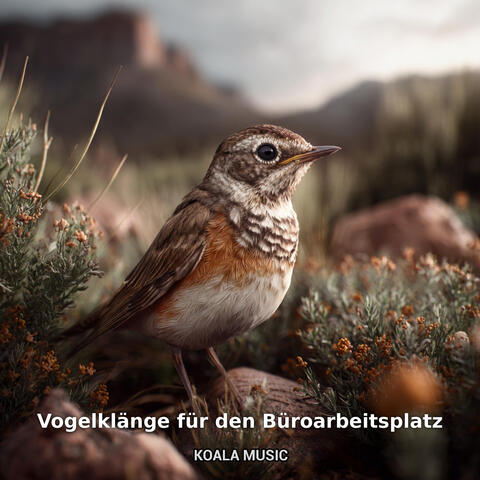 Vogelklänge für den Büroarbeitsplatz
