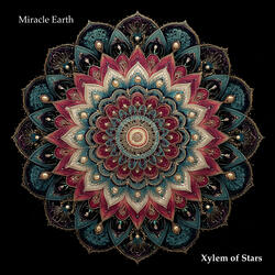 Xylem of Stars