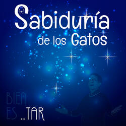 Sabiduría de los Gatos