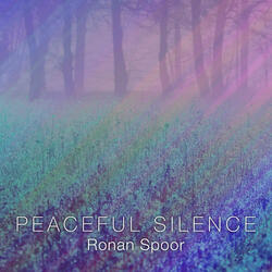 Peaceful Silence