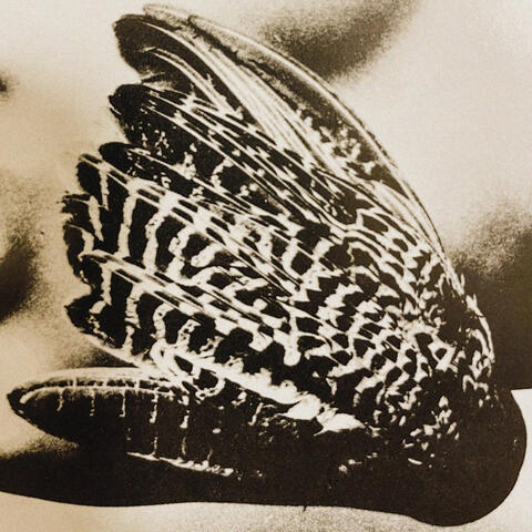 Sensory
