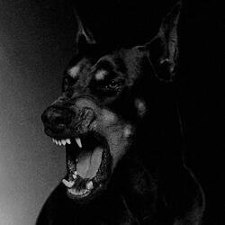 My heart so cold I think I'm done with ice