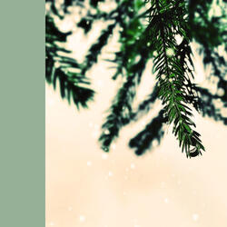 Jingle Bell Rock (Lofi Flute Cover)