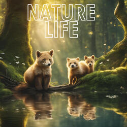 Nature Heals When You Need It