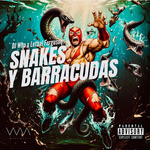 Snakes Y Barracudas
