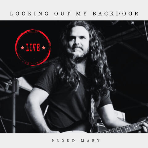 Looking Out My Back Door