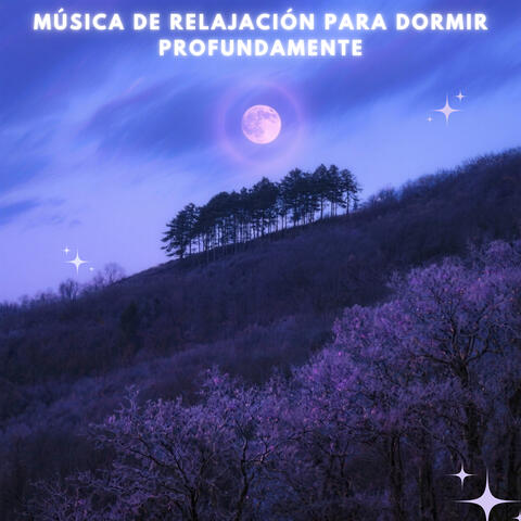 Sueños Theta del Bosque Índigo