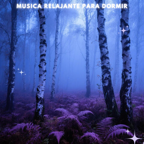 Calma Binaural de Noche Violeta