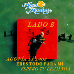 Agonía De Amor: Eres Todo Para Mí / Espero Tu Llamada