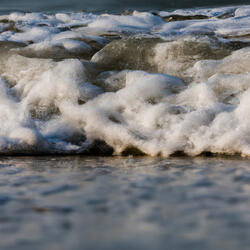 Heavyweight Champion of the Year