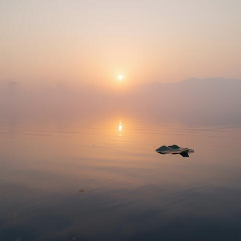 Serene Reflections: Mindful Meditation Sounds