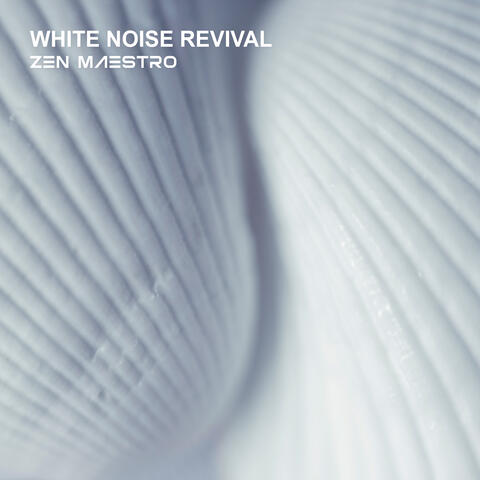 White Noise Revival