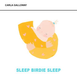 Sleep Birdie Sleep