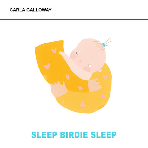Sleep Birdie Sleep