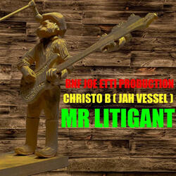Mr Litigant