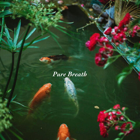 Pure Breath