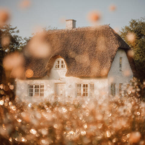 The Day's Soft Light