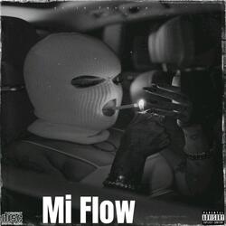 Mi Flow