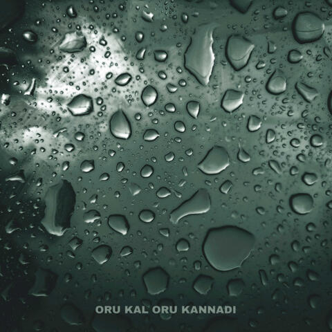 Oru Kal Oru Kannadi