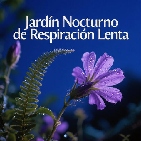 Jardín Nocturno de Respiración Lenta