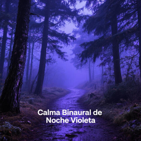 Calma Binaural de Noche Violeta