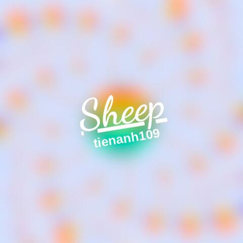 sheep