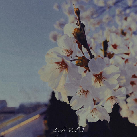 Lofi Vol.2