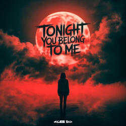 Tonight You Belong To Me