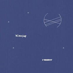 bluejay
