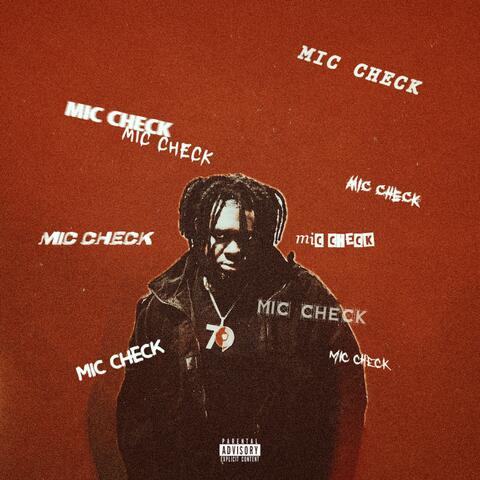 MIC CHECK