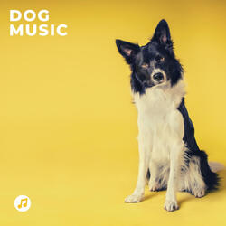 Resting Dog Music