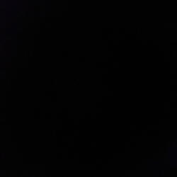 First Person Shooter