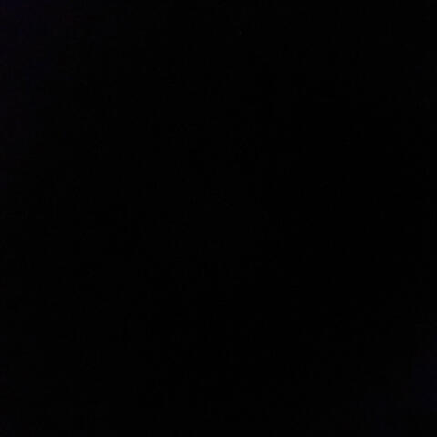 First Person Shooter