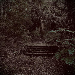 Autumn Meditation In C