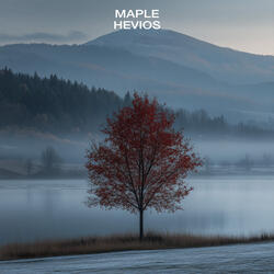 Maple