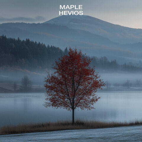 Maple