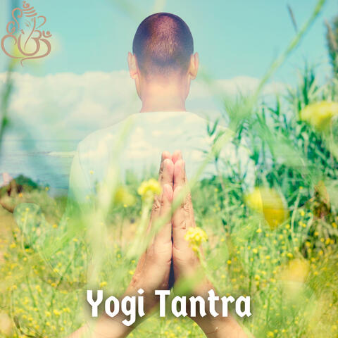 Yogi Tantra
