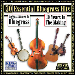 Talking Fiddle Blues