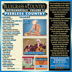 Steel Guitar Rag