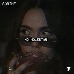 No Molestar