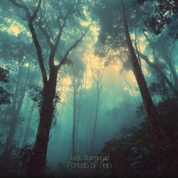 Rain Forest Ambience