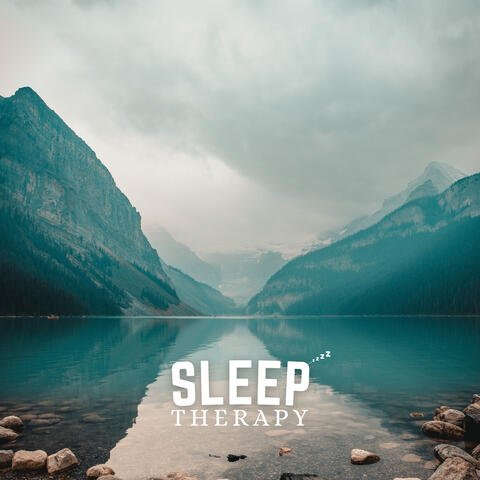 Relaxing Birds of the Meadow – Stress Relief Ambience