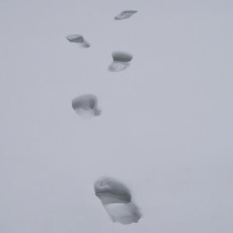 Footsteps in Snow
