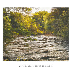 With Gentle Forest Sounds III