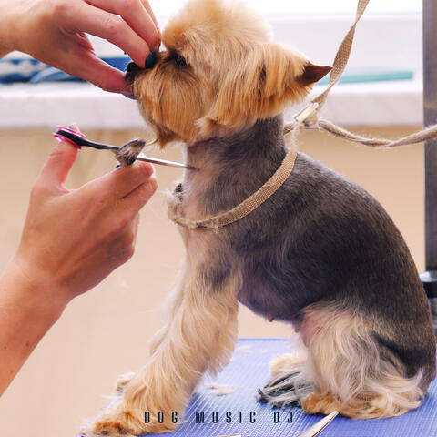 The Dog Groomers Playlist